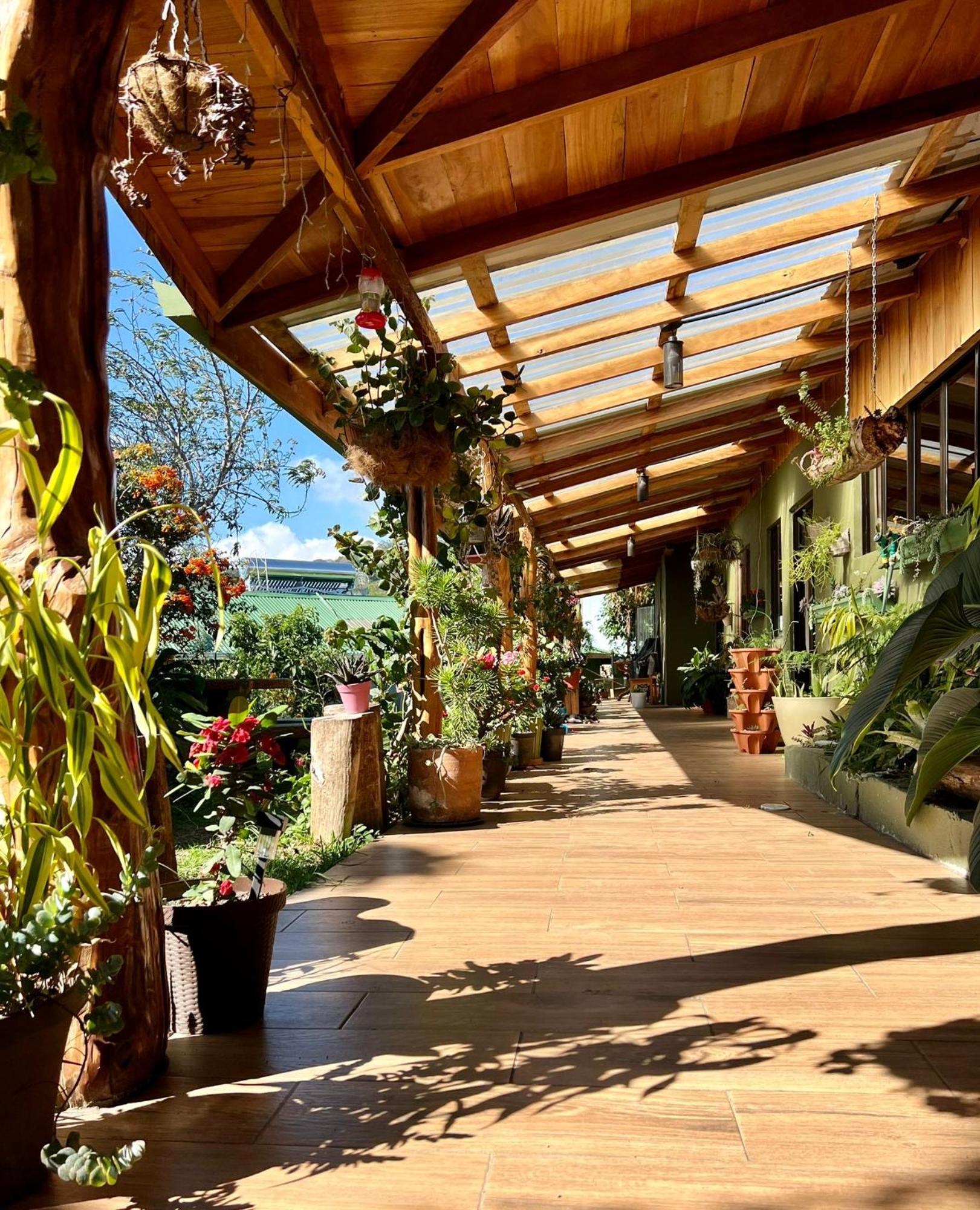 Casa Haydee Monteverde Exteriér fotografie